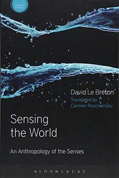 portada Sensing The World (en Inglés)