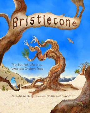 portada Bristlecone: The Secret Life of the World'S Oldest Tree (in English)