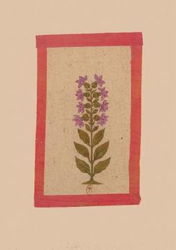 portada Carnet Ligné Fleur 2, Miniature Indienne 18e Siècle (en Francés)