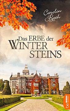 portada Das Erbe der Wintersteins: Familiengeheimnis Roman (en Alemán)