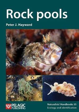 portada Rock Pools: 35 (Naturalists'Handbooks) (en Inglés)