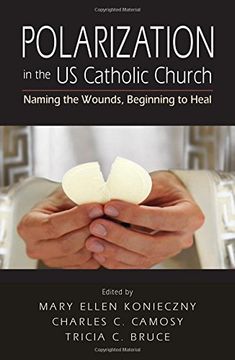 portada Polarization in the US Catholic Church: Naming the Wounds, Beginning to Heal