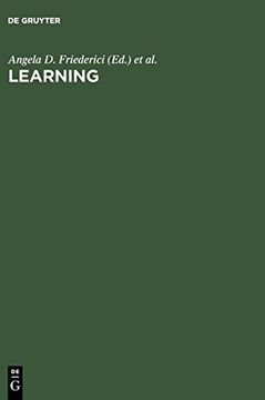 portada Learning: Rule Extraction and Representation (en Inglés)