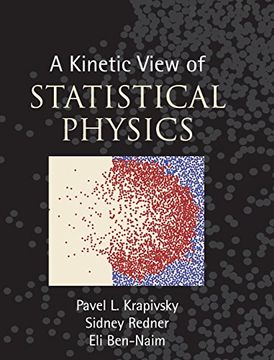 portada A Kinetic View of Statistical Physics (en Inglés)