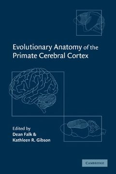 portada Evolutionary Anatomy of the Primate Cerebral Cortex (en Inglés)