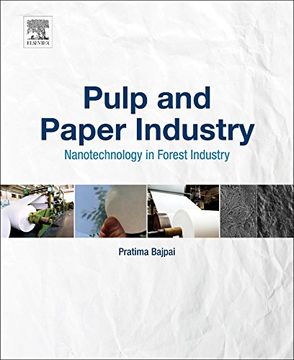 portada Pulp and Paper Industry: Nanotechnology in Forest Industry (in English)