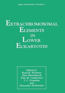 portada Extrachromosomal Elements in Lower Eukaryotes (in English)