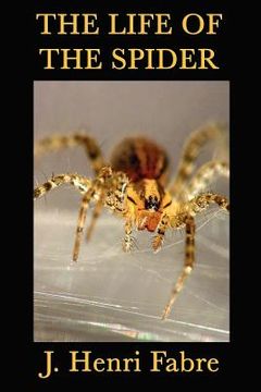 portada the life of the spider (en Inglés)