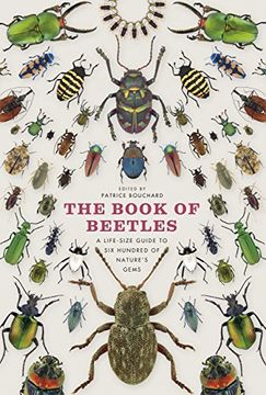 portada The Book of Beetles (in English)