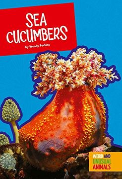 portada Sea Cucumbers (Weird and Unusual Animals)