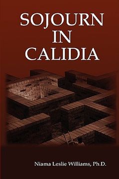 portada sojourn in calidia (in English)