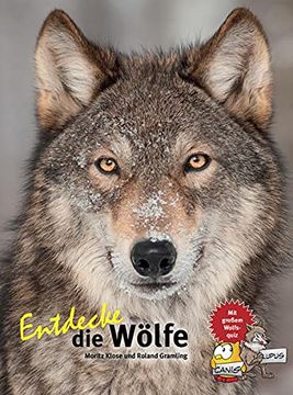 portada Entdecke die Wölfe (Entdecke - die Reihe mit der Eule / Kindersachbuchreihe) (en Alemán)