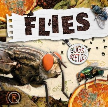 portada Flies (Bugs and Beetles) (en Inglés)
