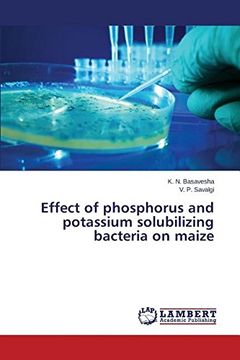 portada Effect of phosphorus and potassium solubilizing bacteria on maize