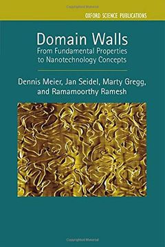 portada Domain Walls: From Fundamental Properties to Nanotechnology Concepts: 24 (Series on Semiconductor Science and Technology) 