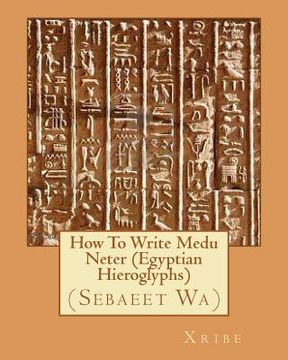 portada how to write medu neter (egyptian hieroglyphs) (en Inglés)