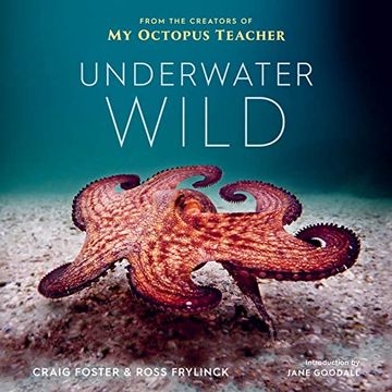 portada Underwater Wild: My Octopus Teacher'S Extraordinary World (in English)
