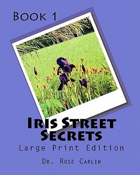 portada iris street secrets (en Inglés)