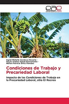 portada Condiciones de Trabajo y Precariedad Laboral: Impacto de las Condiciones de Trabajo en la Precariedad Laboral, Sitio el Recreo