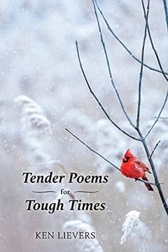 portada Tender Poems for Tough Times (en Inglés)