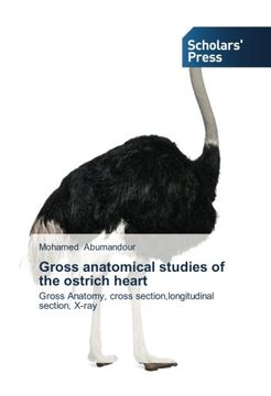 portada Gross Anatomical Studies of the Ostrich Heart