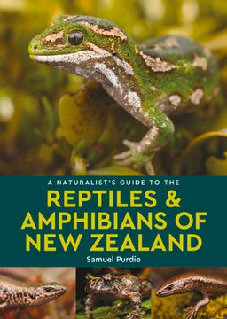 portada A Naturalist's Guide to the Reptiles & Amphibians of New Zealand (en Inglés)