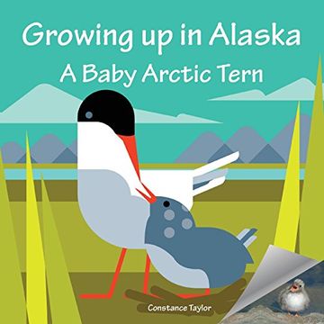 portada Growing up in Alaska: A Baby Arctic Tern (en Inglés)