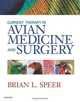 portada Current Therapy in Avian Medicine and Surgery (in English)
