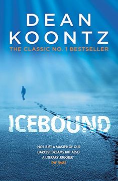 portada Icebound: A Chilling Thriller of a Race Against Time
