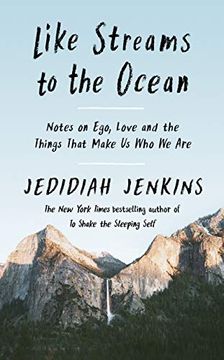 portada Like Streams to the Ocean: Notes on Ego, Love, and the Things That Make us who we are (in English)