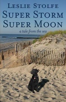 portada Super Storm Super Moon: A Tale from the Sea
