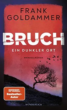 portada Bruch: Ein Dunkler ort (Felix Bruch, Band 1) (en Alemán)