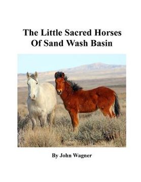 portada Little Sacred Horses of Sand Wash Basin (en Inglés)
