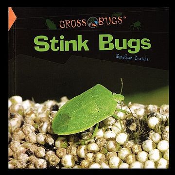 portada stink bugs (in English)