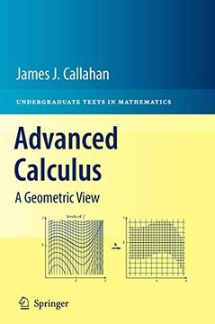portada Advanced Calculus: A Geometric View (Undergraduate Texts in Mathematics) (in English)