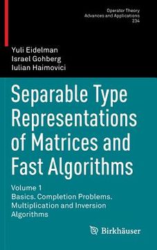 portada separable type representations of matrices and fast algorithms: volume 1. basics. completion problems. multiplication and inversion algorithms (in English)