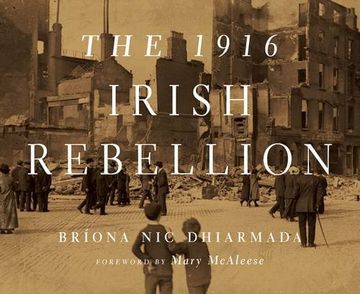 portada The 1916 Irish Rebellion (in English)