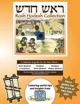 portada Bar/Bat Mitzvah Survival Guides: Rosh Hodesh Collection (en Inglés)