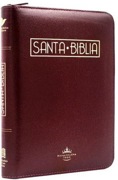 portada BIBLIA VINO TINTO CANTO AMARILLO QR