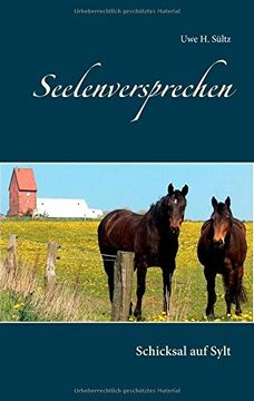 portada Seelenversprechen (German Edition)