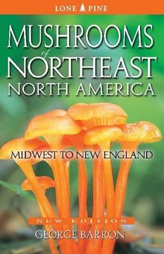 portada Mushrooms of Northeast North America: Midwest to New England (en Inglés)
