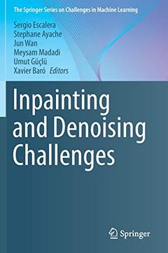 portada Inpainting and Denoising Challenges the Springer Series on Challenges in Machine Learning (en Inglés)
