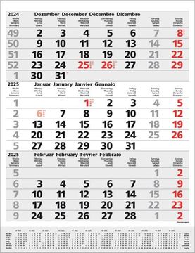 portada 3-Monats-Planer Comfort Grau 2025: 3-Monatskalender Groß i Wandplaner / Bürokalender mit Datumsschieber, Vor-Und Nachmonat und Jahresübersicht i 30 x 39 cm