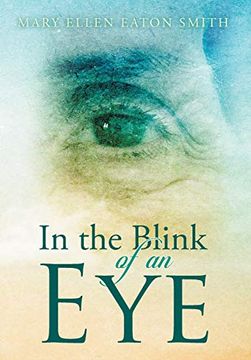 portada In the Blink of an eye (en Inglés)