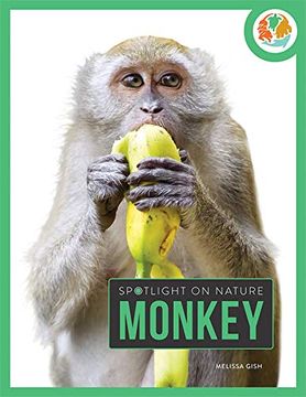 portada Monkey (in English)