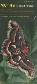 portada Moths in Your Pocket: A Guide to the Saturn and Sphinx Moths of the Upper Midwest de jim Durbin(Univ of Iowa pr)