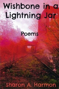 portada Wishbone in a Lightning Jar: Poems (in English)