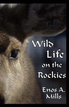 portada Wild Life on the Rockies (in English)