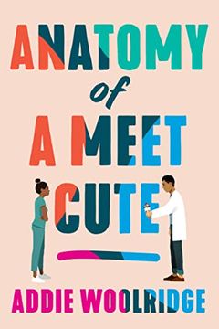 portada Anatomy of a Meet Cute 