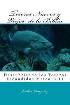 portada Tesoros Nuevos Y Viejos De La Biblia (spanish Edition) (in Spanish)